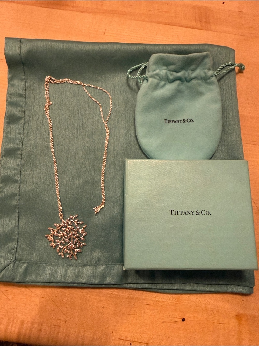 Tiffany & Co. Paloma Silver Olive Branch Large Necklace